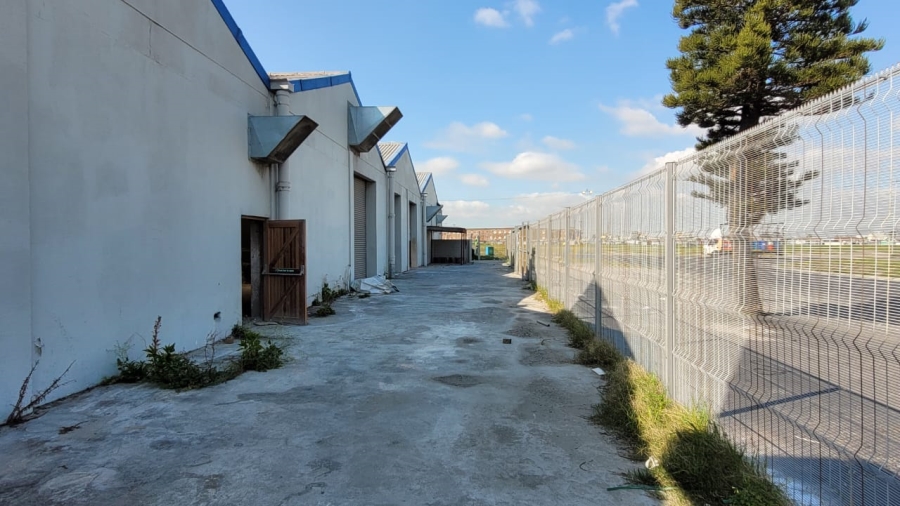 To Let commercial Property for Rent in Epping Industrial Western Cape